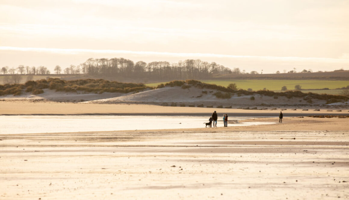 Winter beach scene with dog walkers in the distance