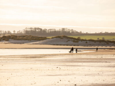 Winter beach scene with dog walkers in the distance